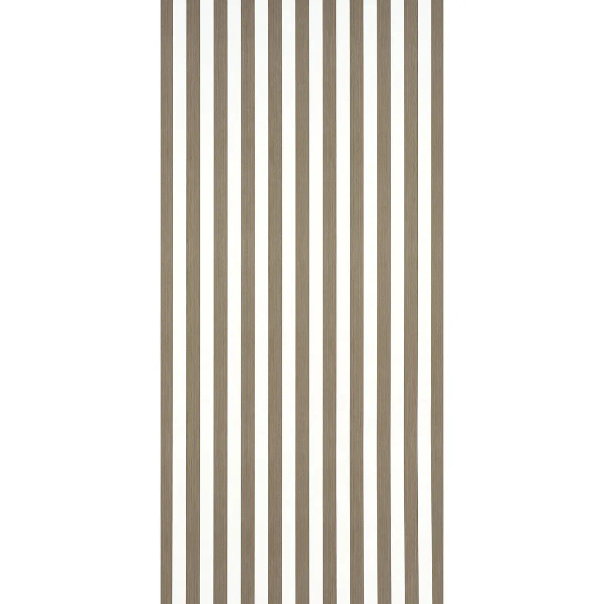EDWIN STRIPE MEDIUM_ MOCHA