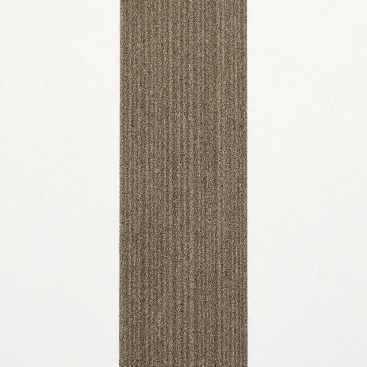 EDWIN STRIPE MEDIUM_ MOCHA