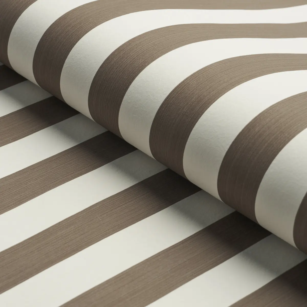 EDWIN STRIPE MEDIUM_ MOCHA