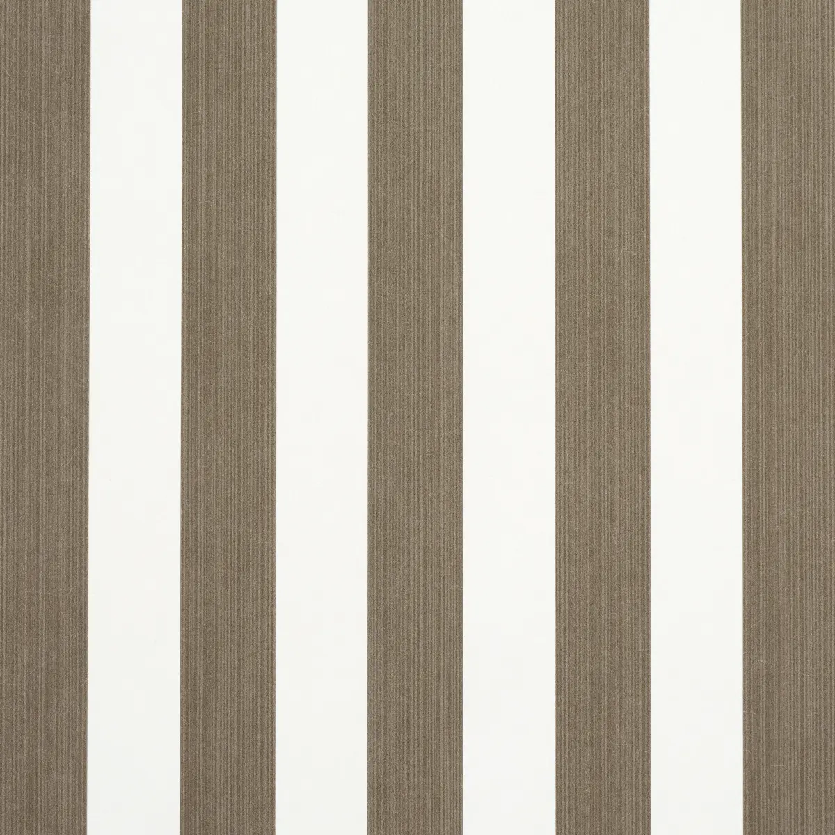 EDWIN STRIPE MEDIUM_ MOCHA
