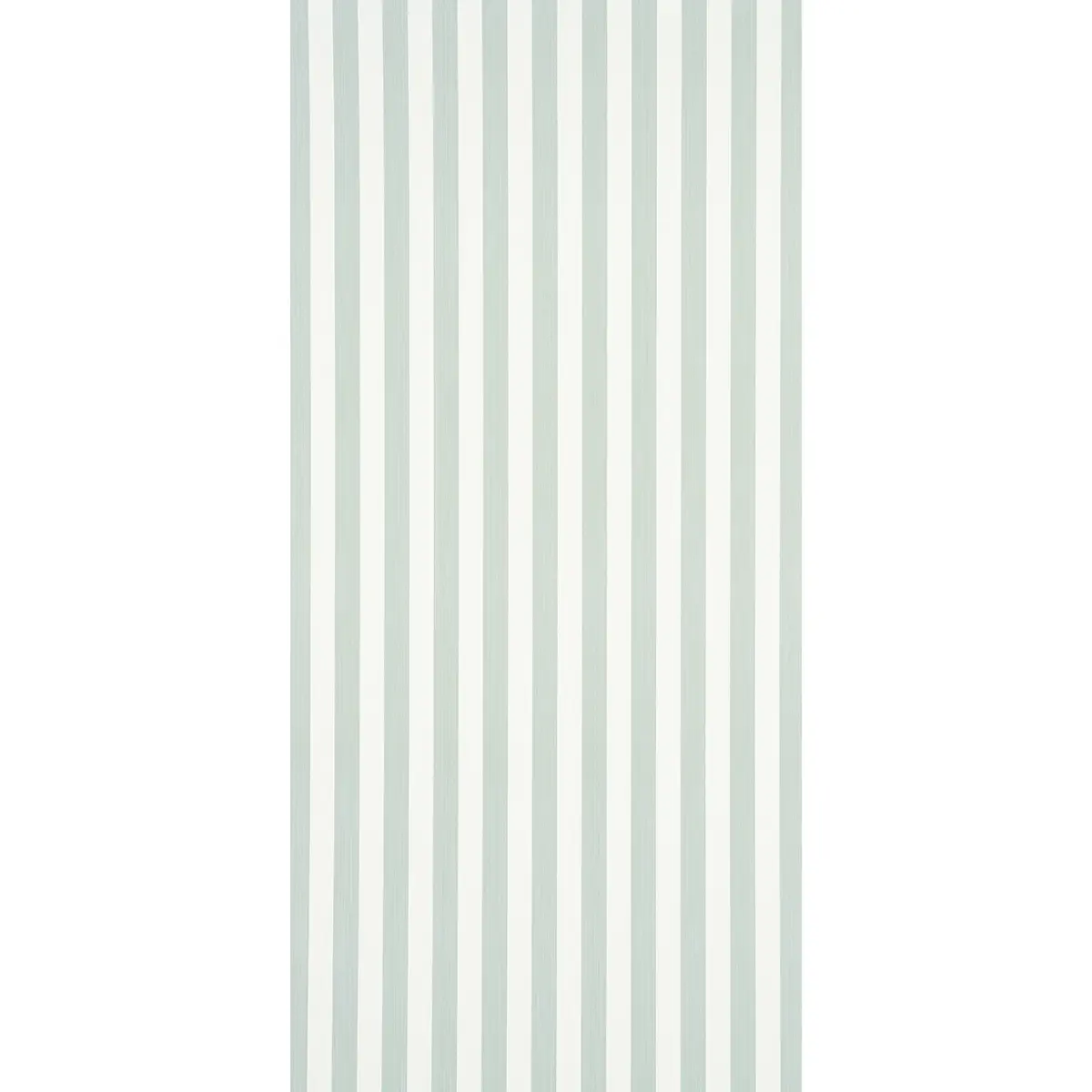 EDWIN STRIPE MEDIUM_ EUCALYPTUS