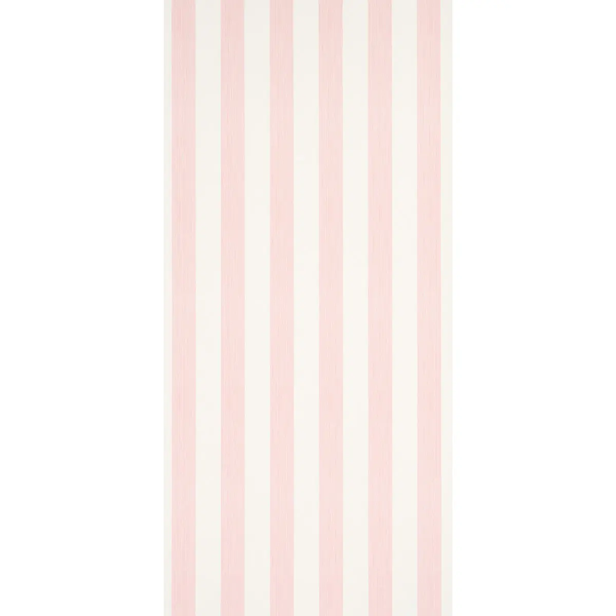 EDWIN STRIPE WIDE_ PETAL