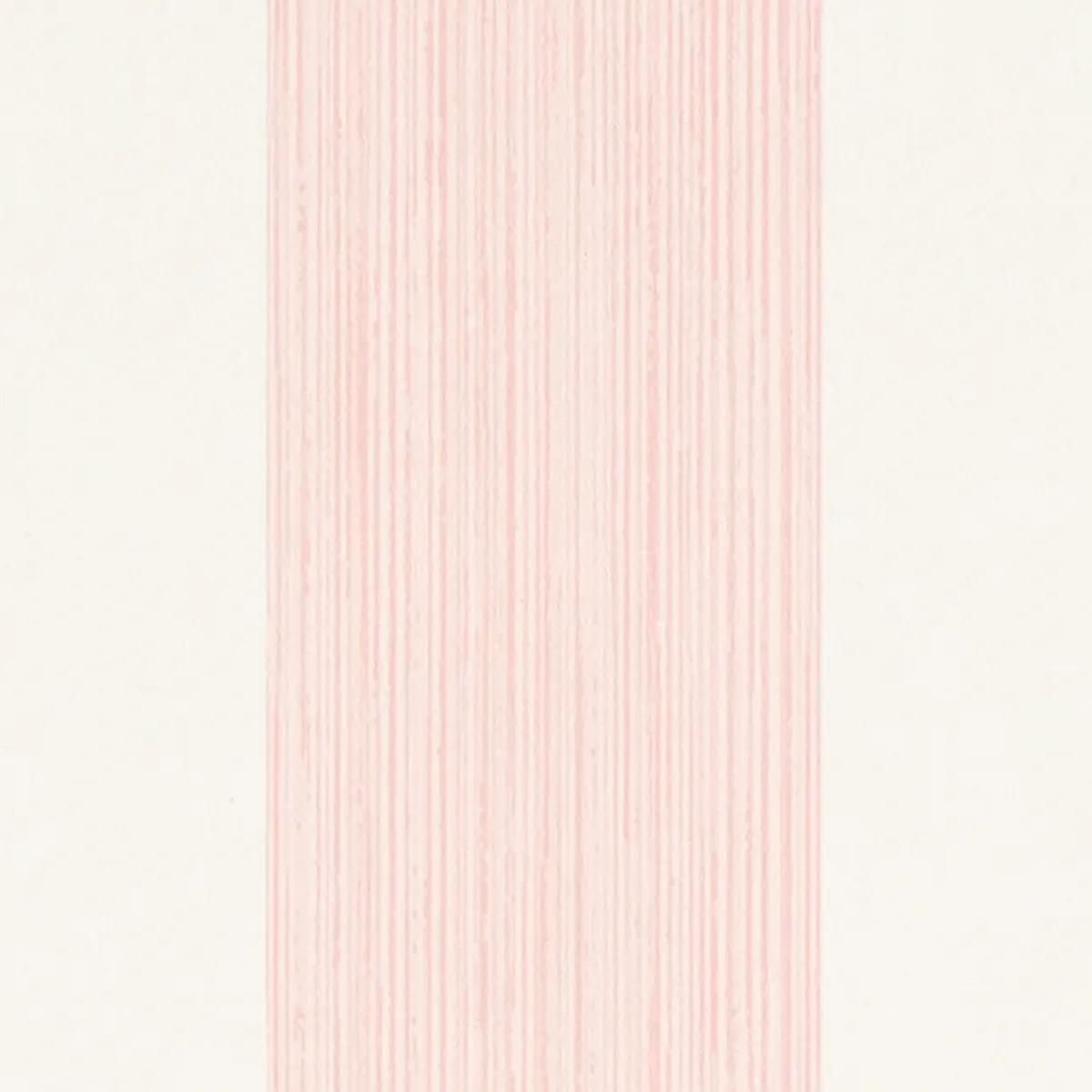 EDWIN STRIPE WIDE_ PETAL