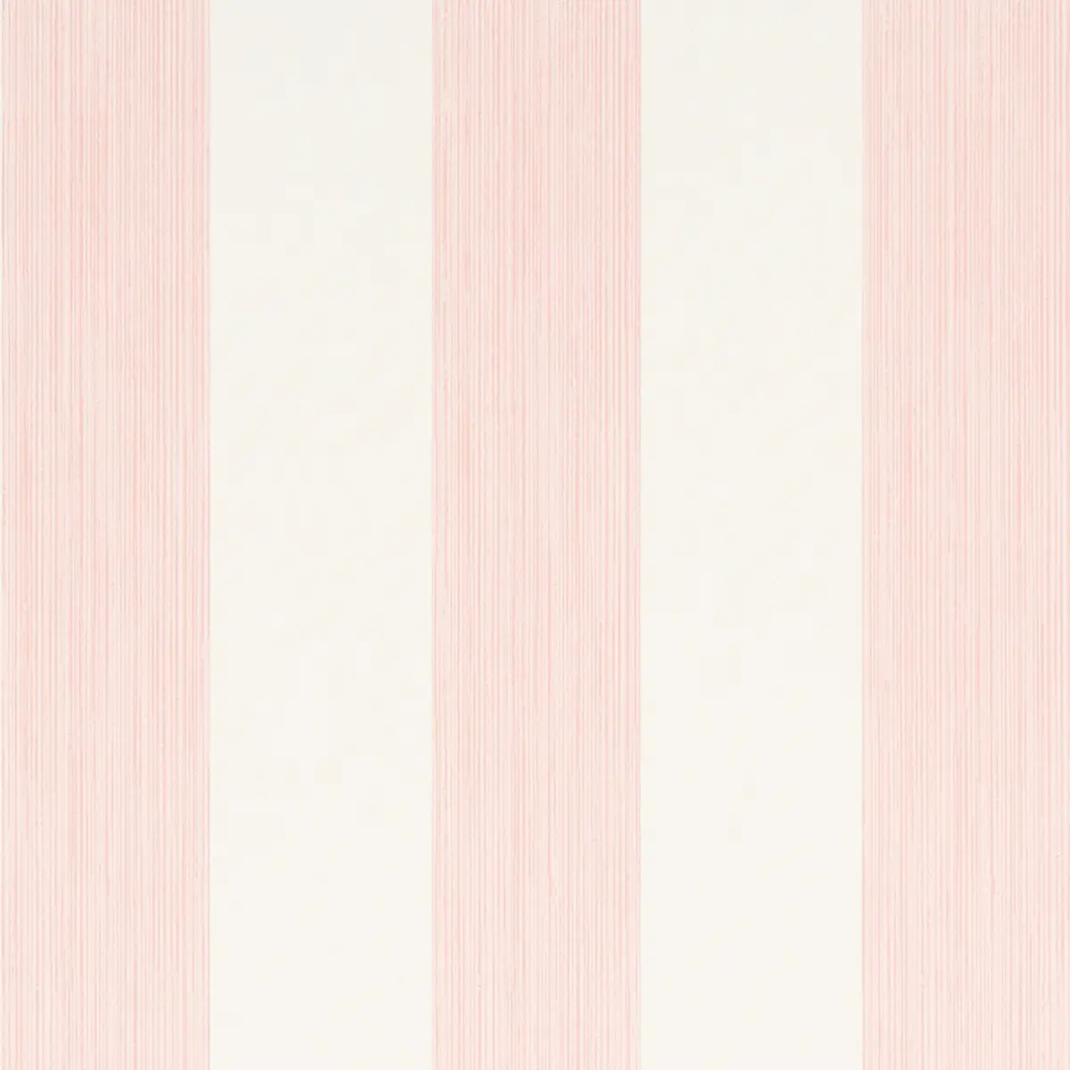 EDWIN STRIPE WIDE_ PETAL