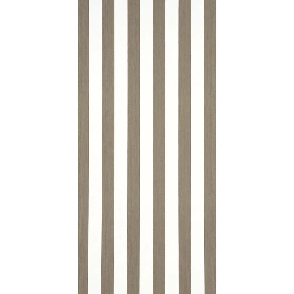 EDWIN STRIPE WIDE_ MOCHA
