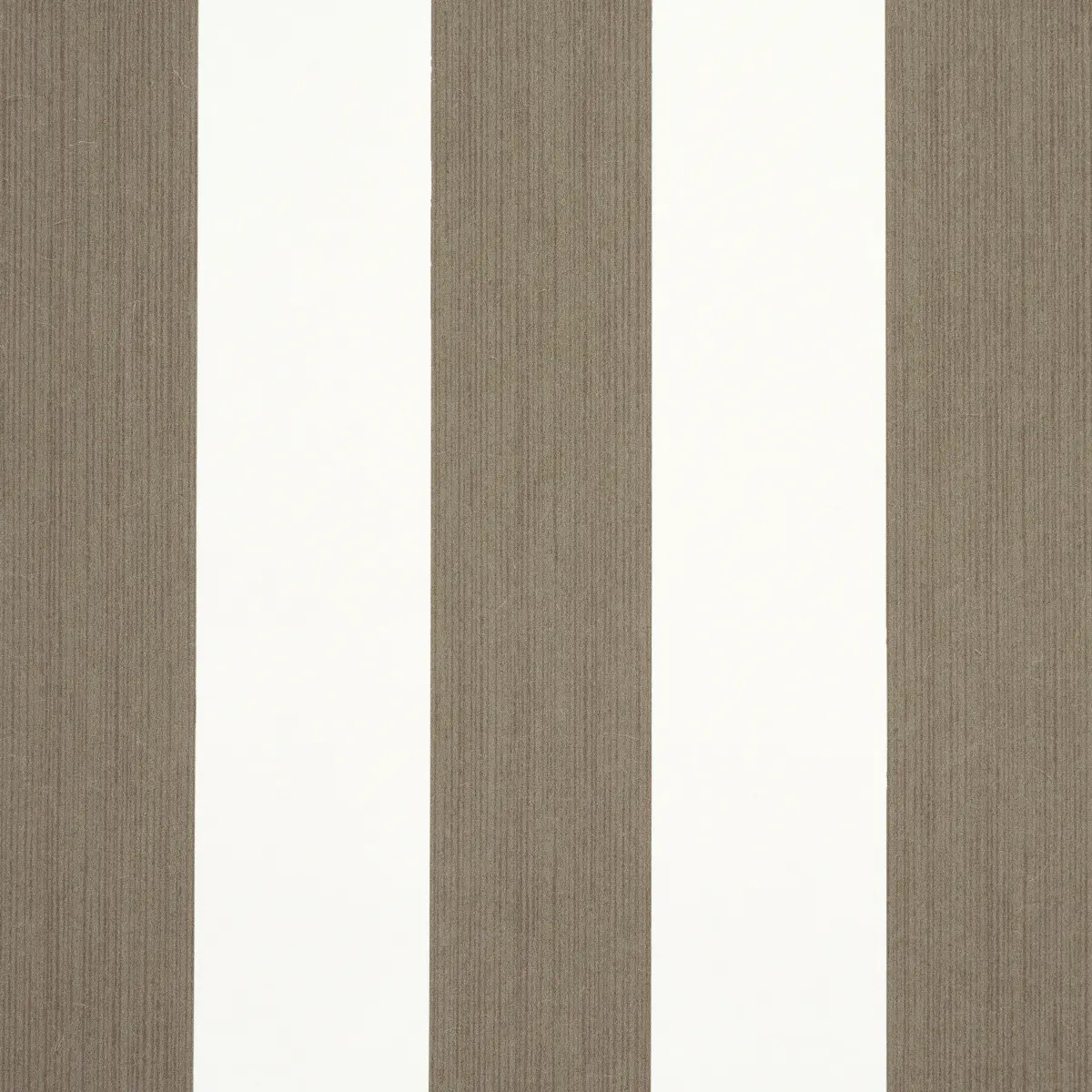 EDWIN STRIPE WIDE_ MOCHA