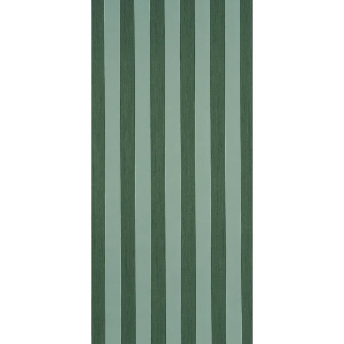 EDWIN STRIPE WIDE_ DARK GREEN