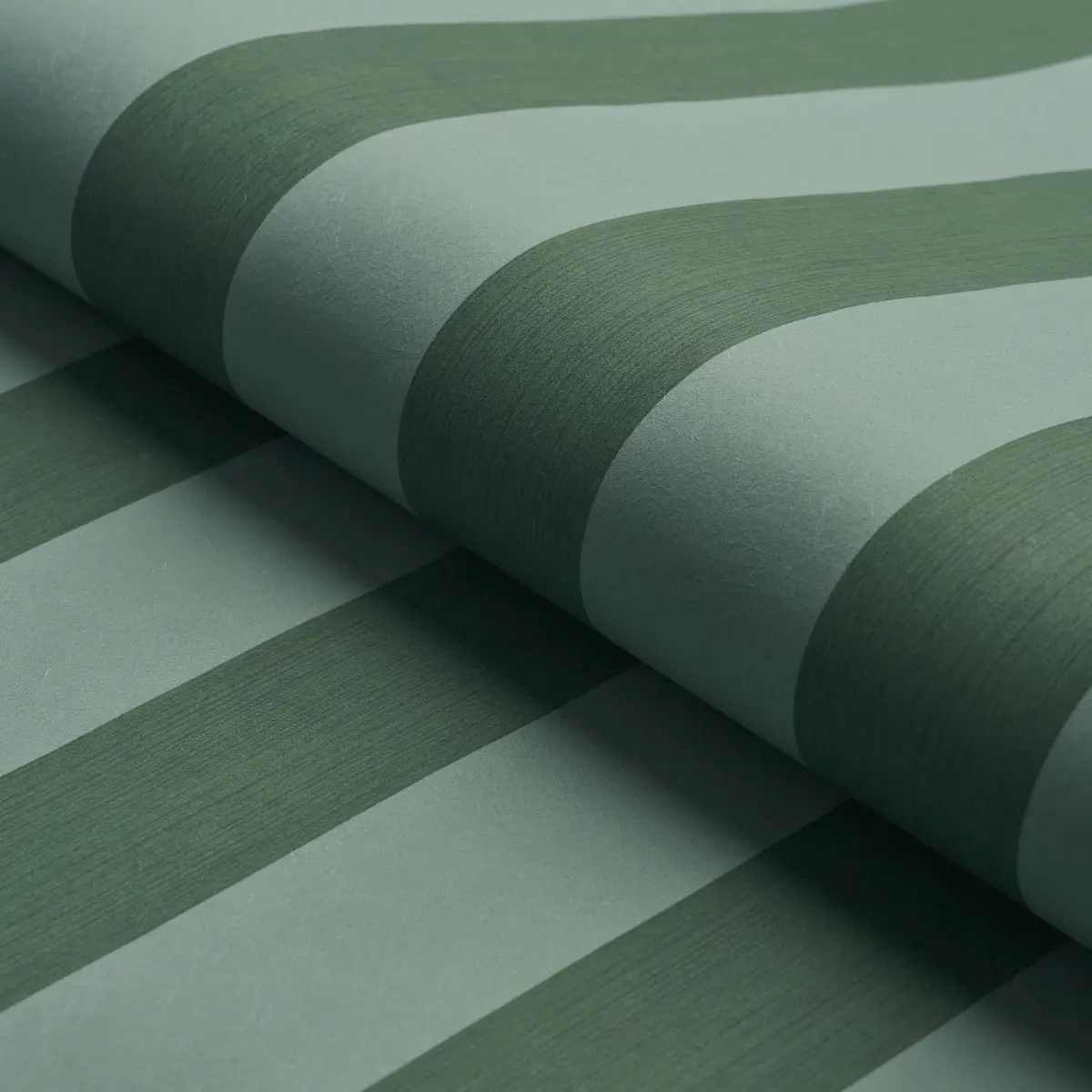 EDWIN STRIPE WIDE_ DARK GREEN