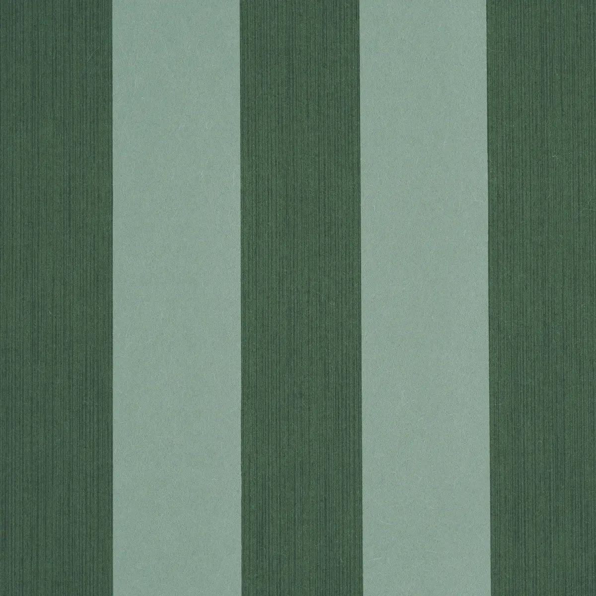 EDWIN STRIPE WIDE_ DARK GREEN