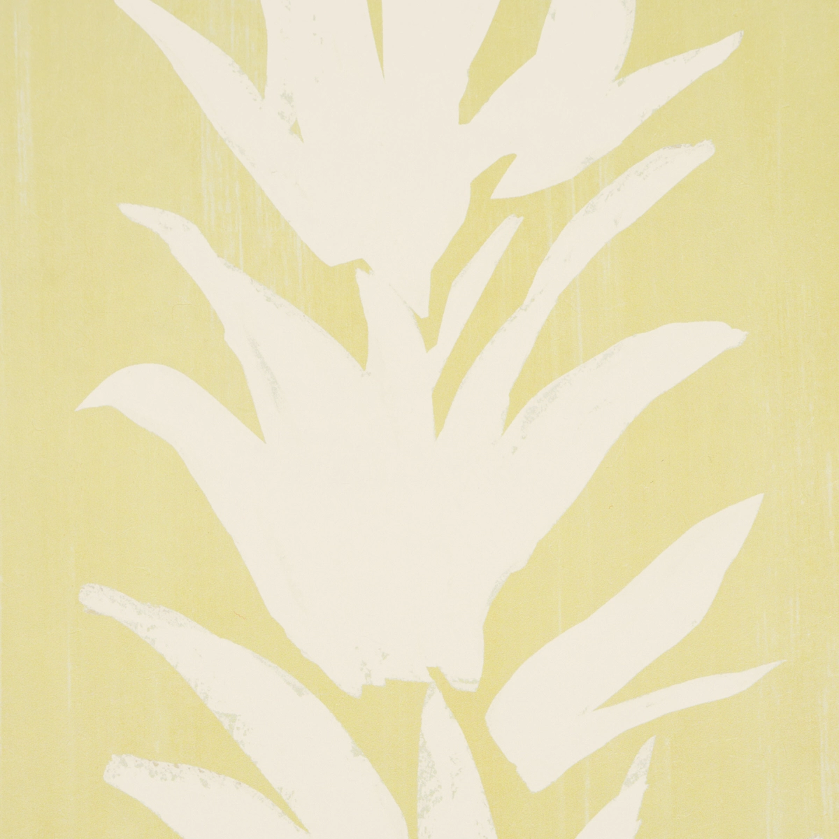WHITE LOTUS_ LIGHT YELLOW