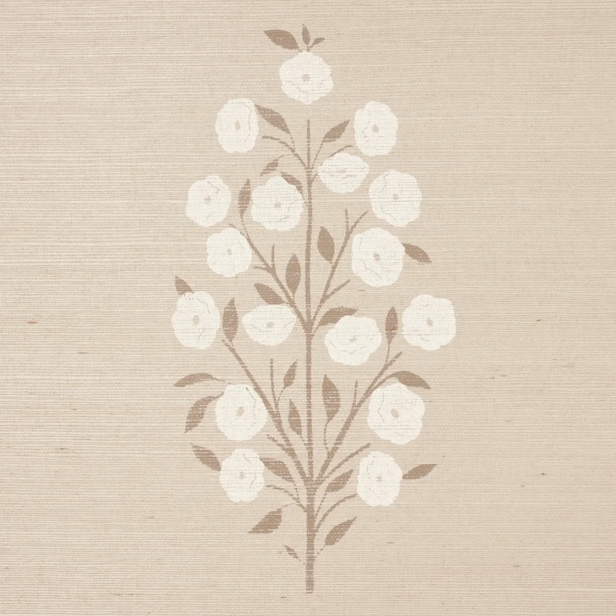 JOSEPHA SISAL_ NEUTRAL