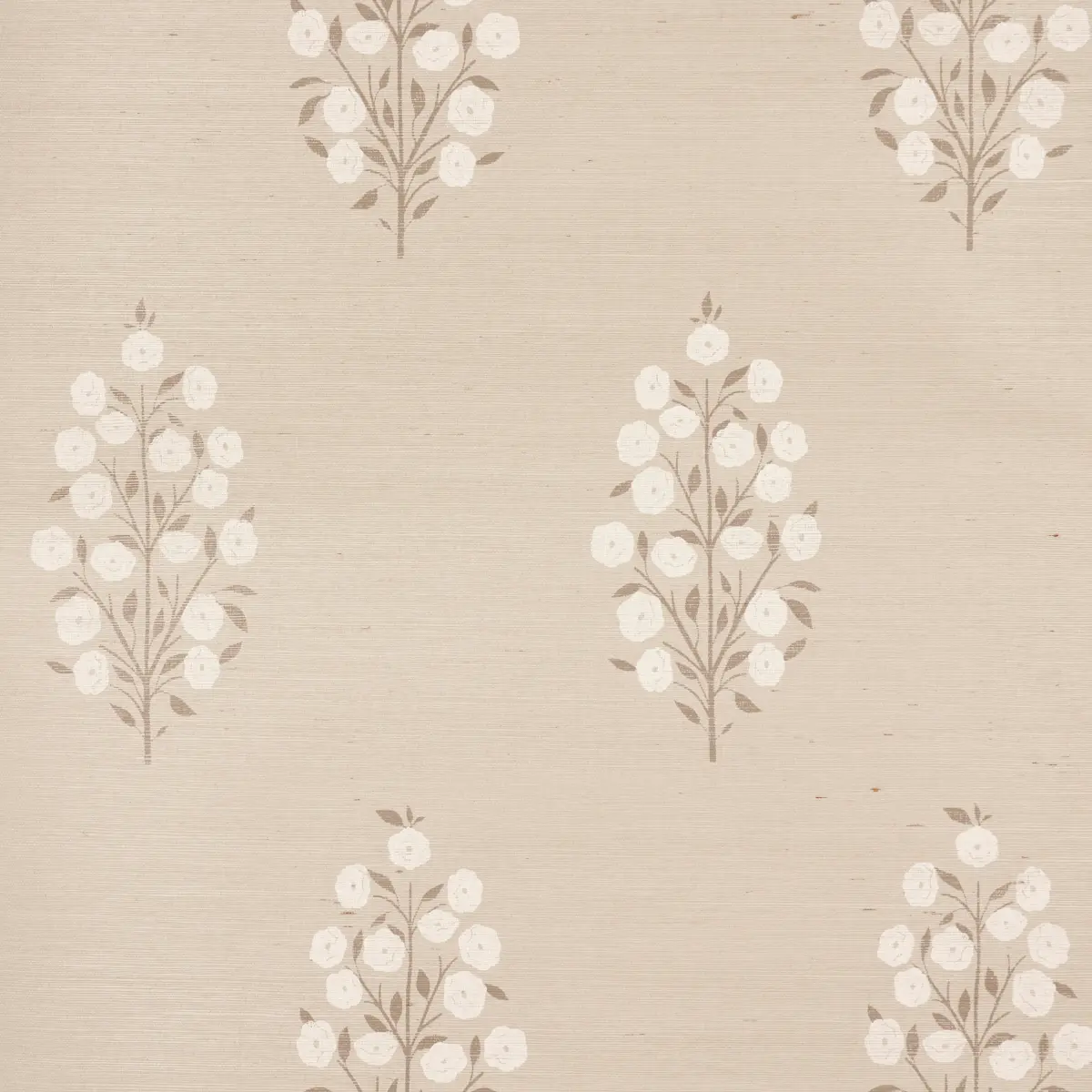 JOSEPHA SISAL_ NEUTRAL