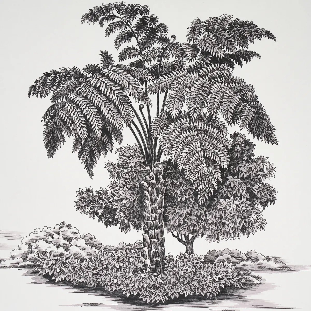 TOUSSAINT TOILE_ BLACK ON IVORY