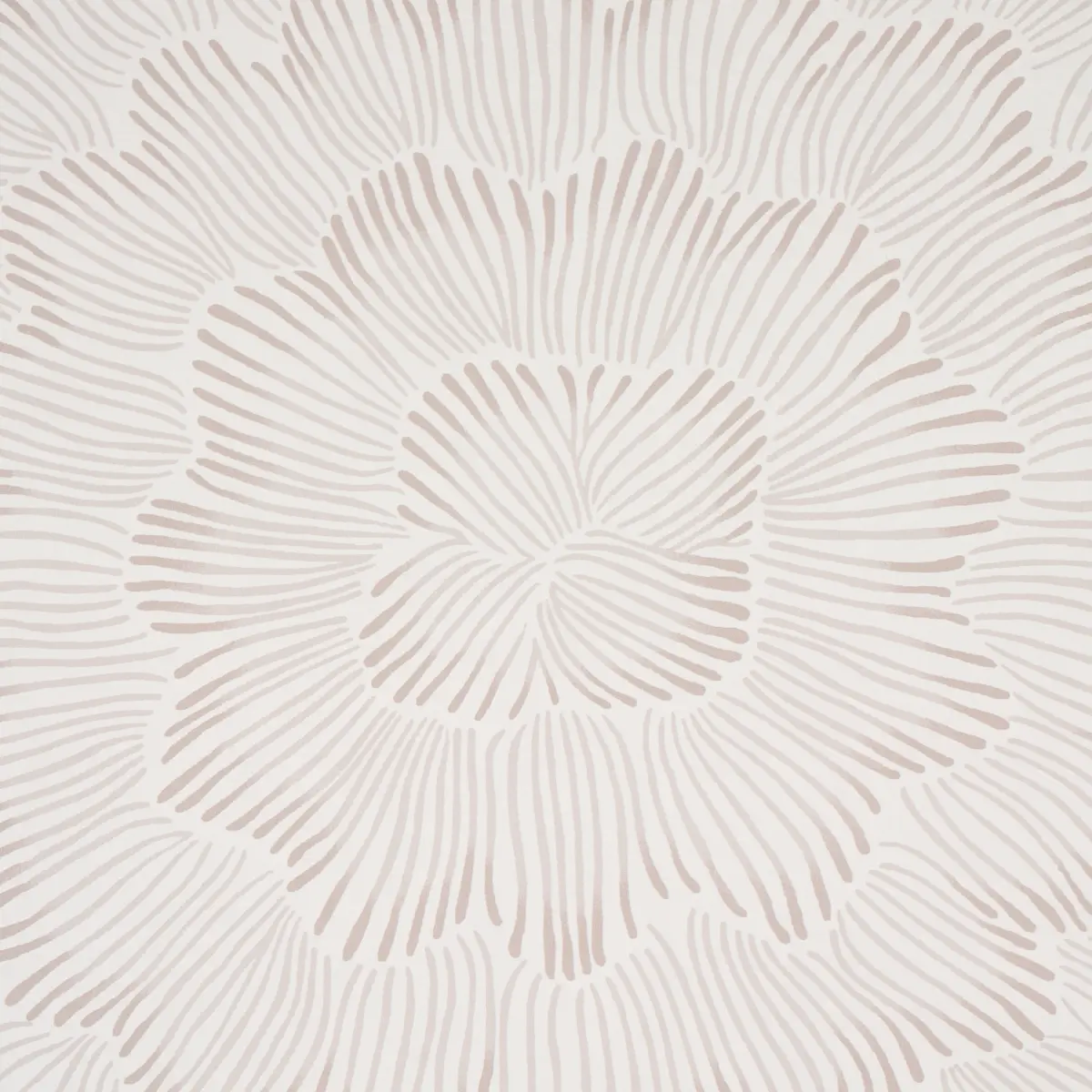 FEATHER BLOOM_ SOFT NEUTRAL