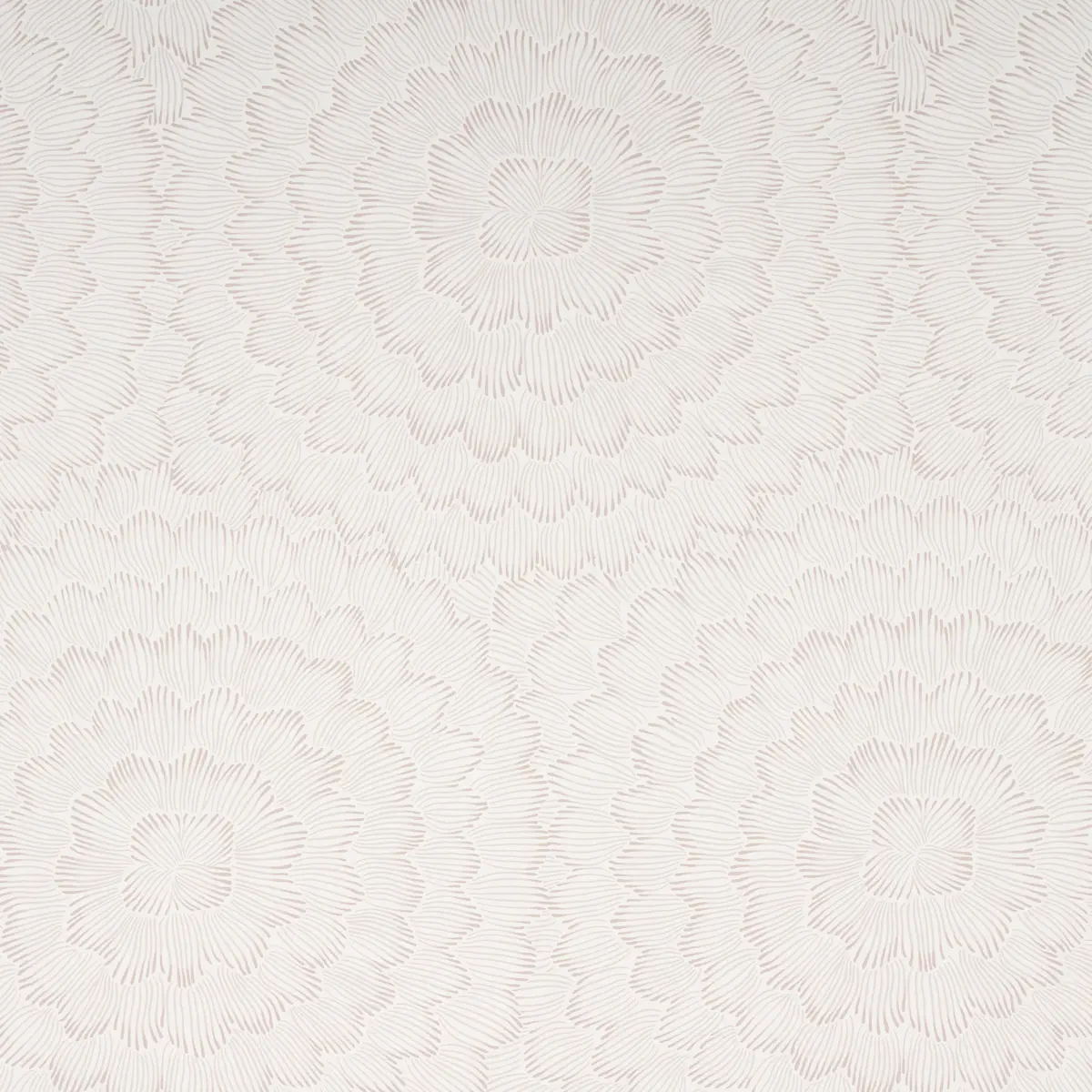 FEATHER BLOOM_ SOFT NEUTRAL