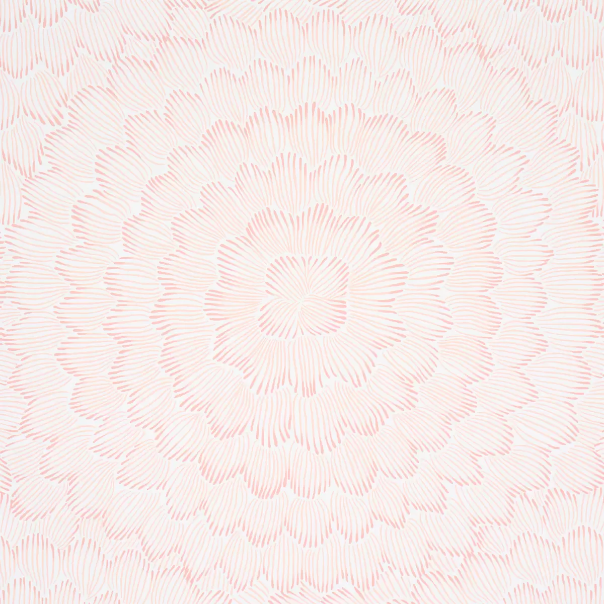 FEATHER BLOOM_ SALMON