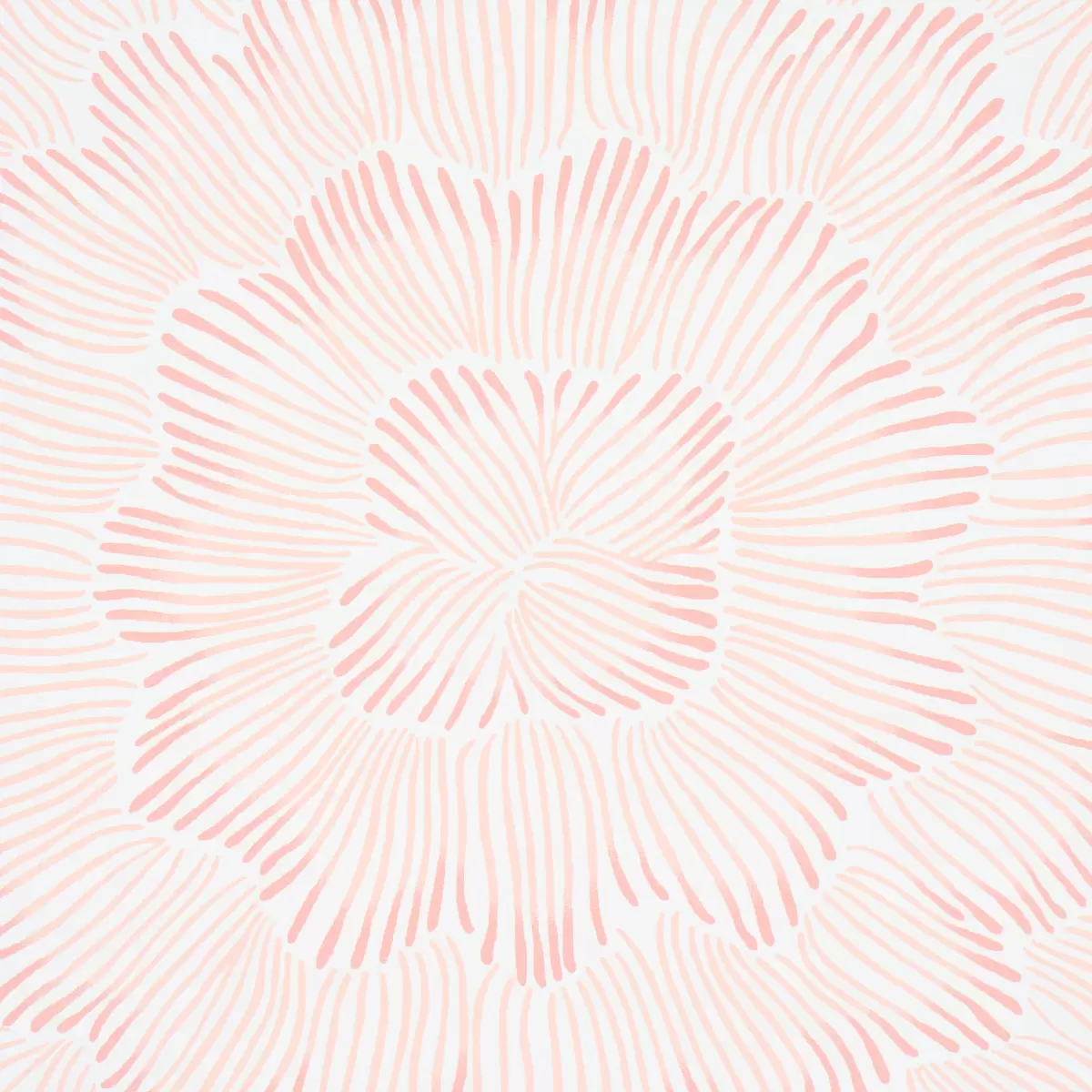 FEATHER BLOOM_ SALMON