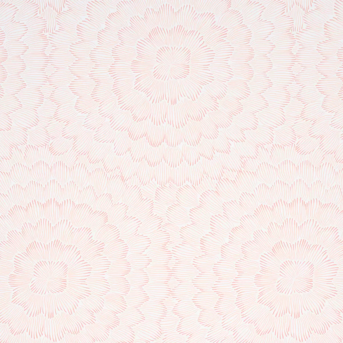 FEATHER BLOOM_ SALMON