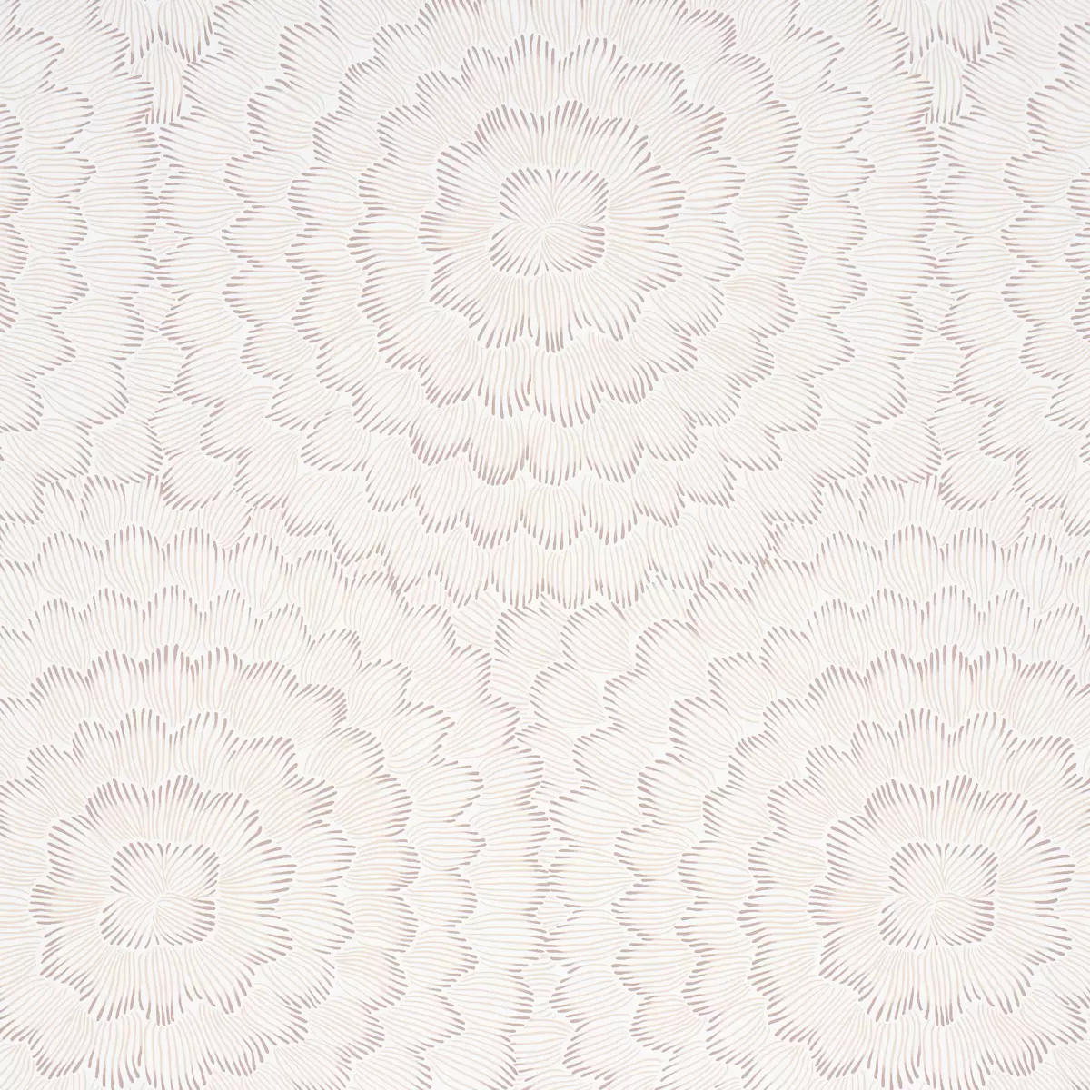FEATHER BLOOM_ CHAI