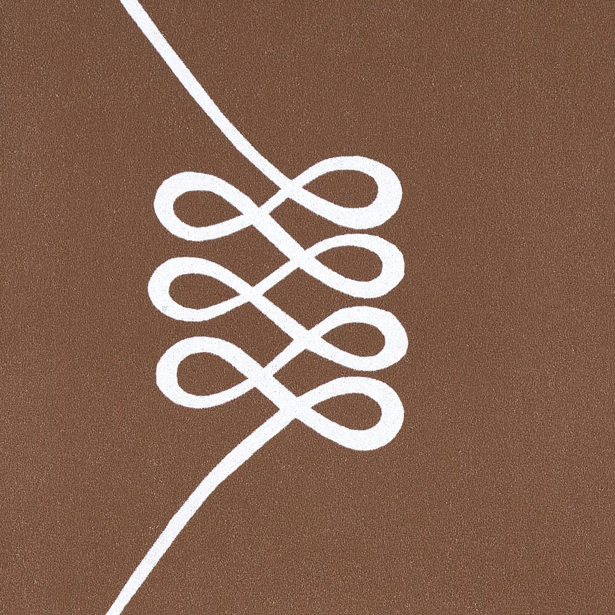NICOLETTE_ SILVER ON BROWN
