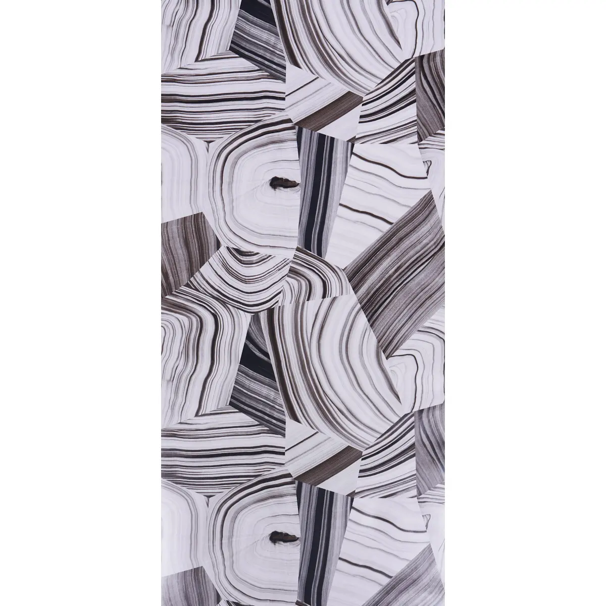AGATE SLICE_ BLACK AND WHITE