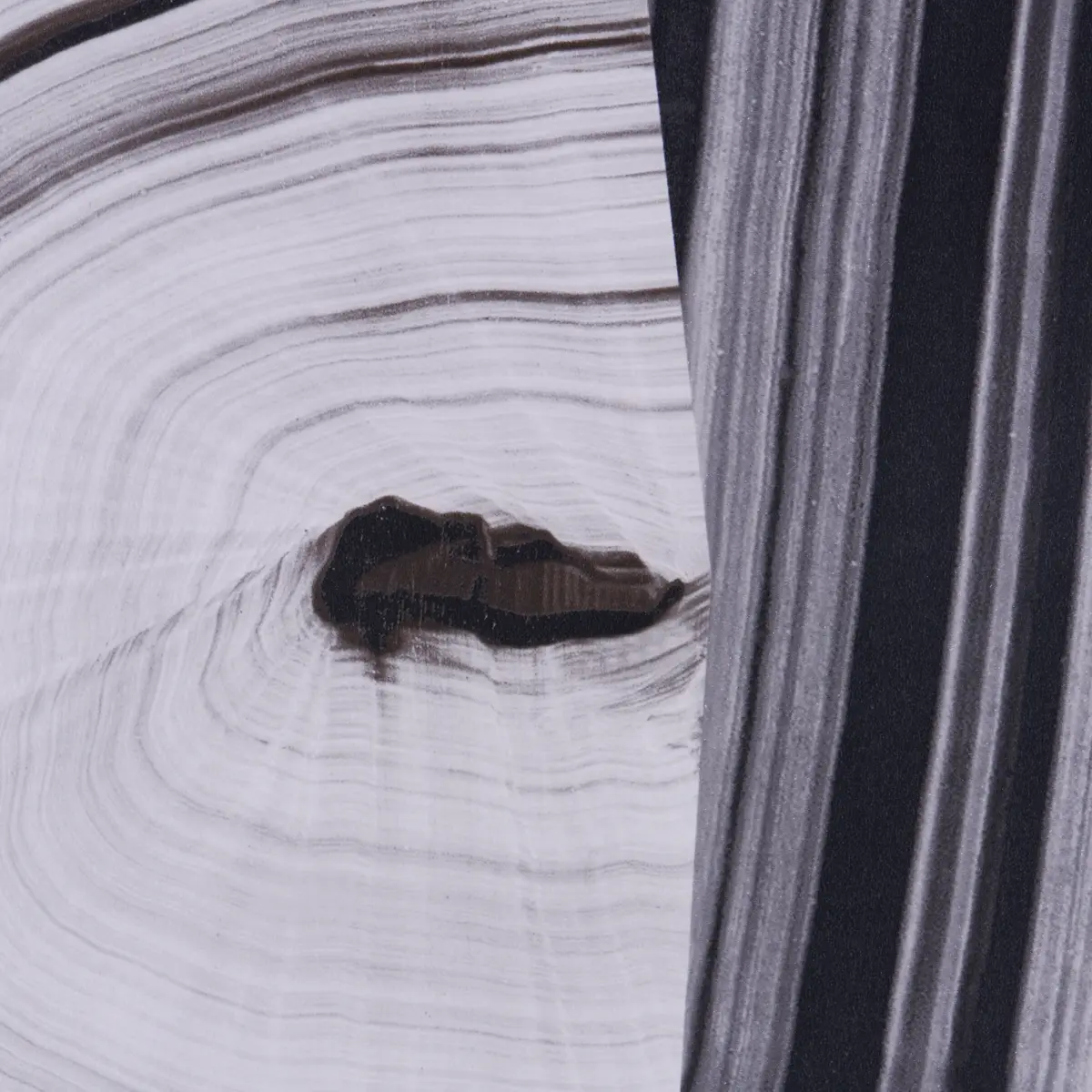 AGATE SLICE_ BLACK AND WHITE