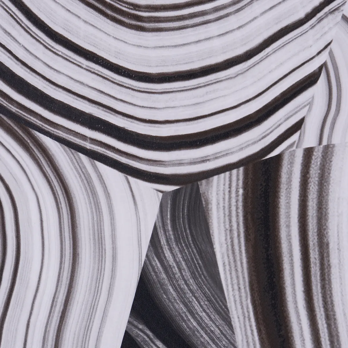 AGATE SLICE_ BLACK AND WHITE