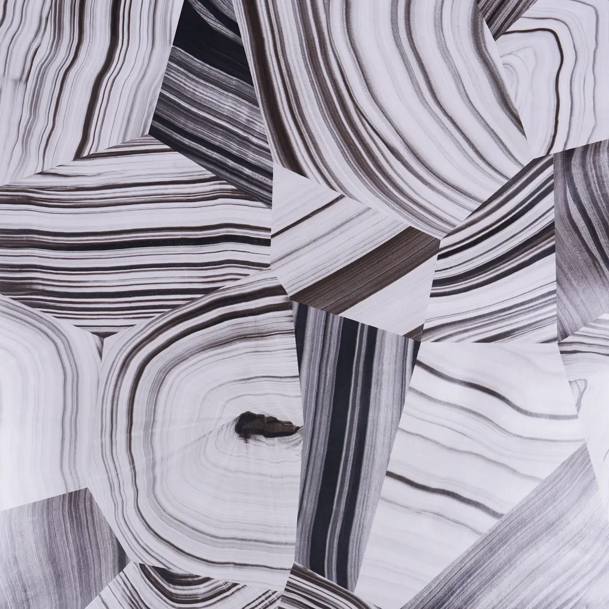 AGATE SLICE_ BLACK AND WHITE