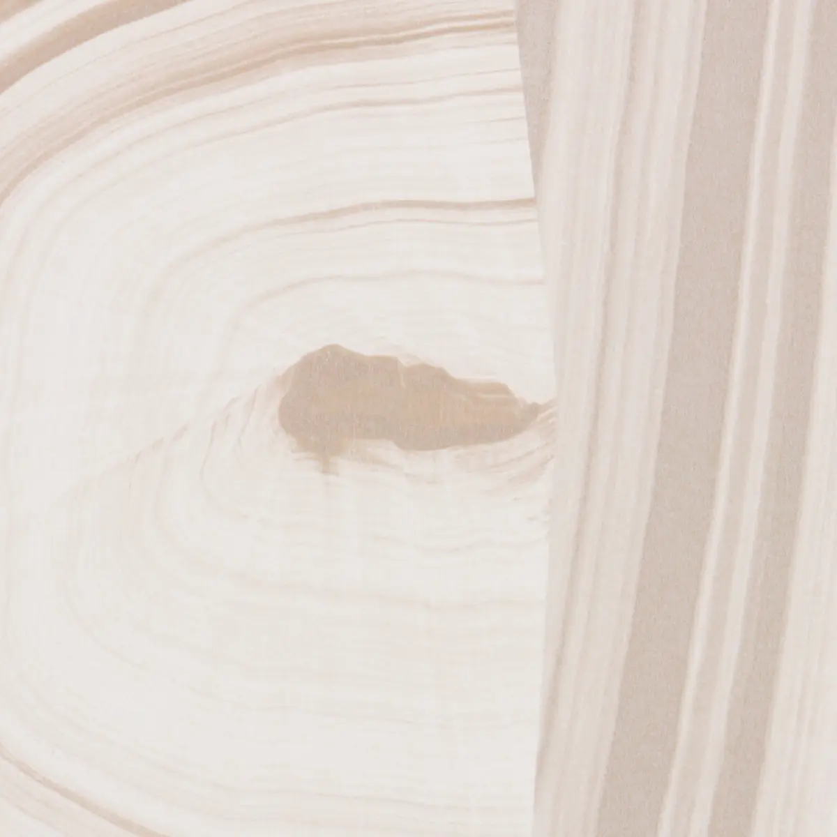 AGATE SLICE_ LIGHT NEUTRAL