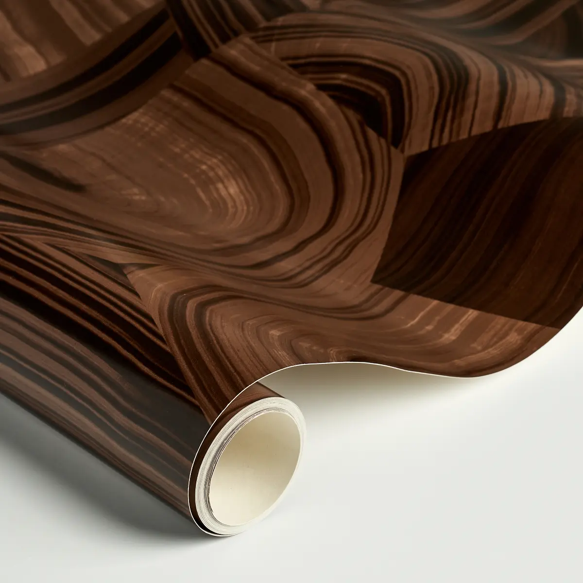 AGATE SLICE_ TIGERS EYE