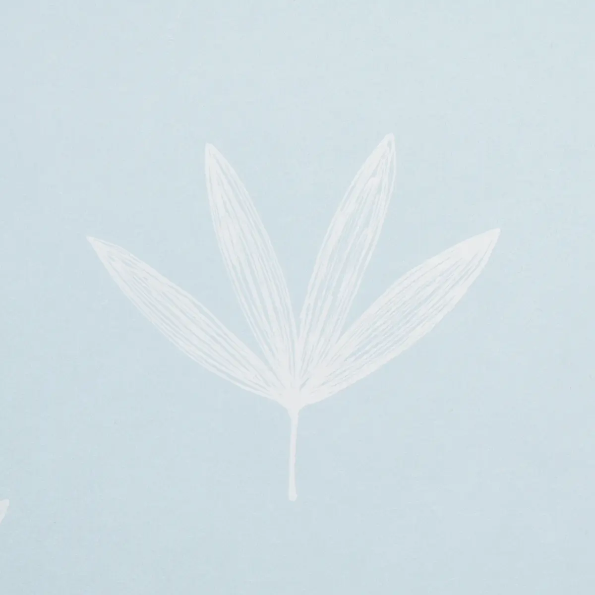 RUE_ SKY