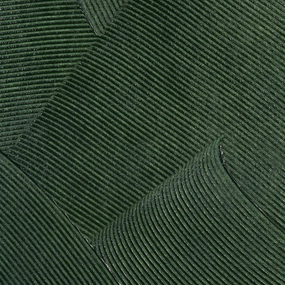 Hand Combed Plaster_ GREEN LEAF