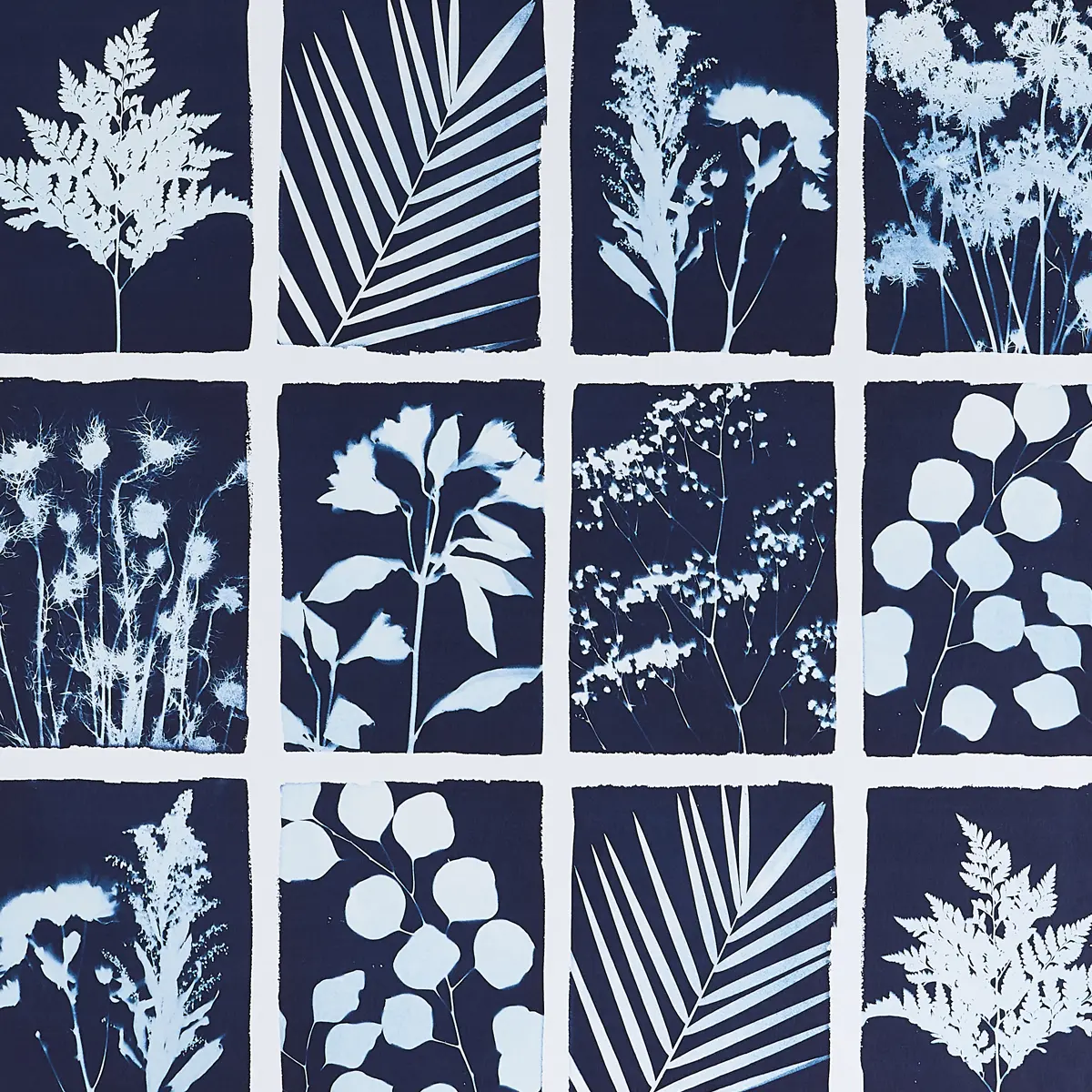 CYANOTYPE PANEL_ INDIGO