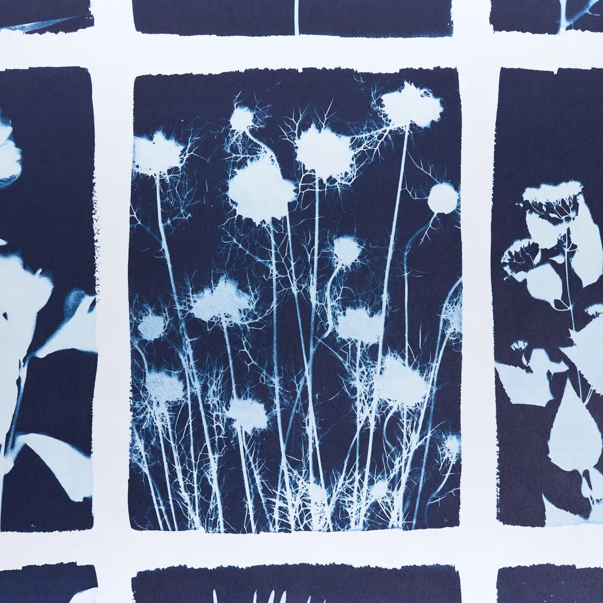 CYANOTYPE PANEL_ INDIGO