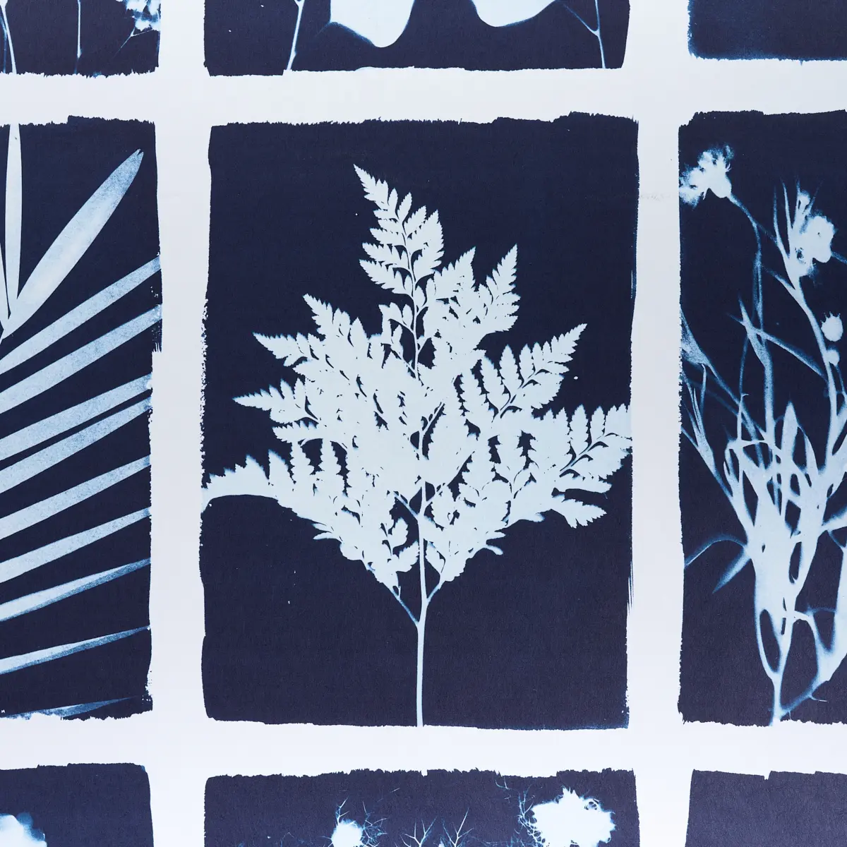 CYANOTYPE PANEL_ INDIGO