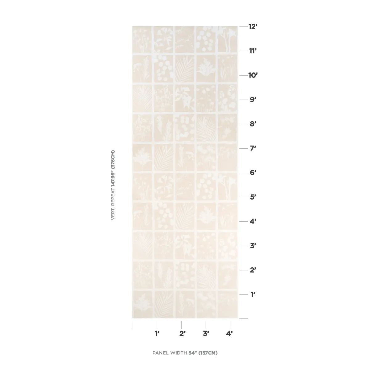 CYANOTYPE PANEL_ NATURAL