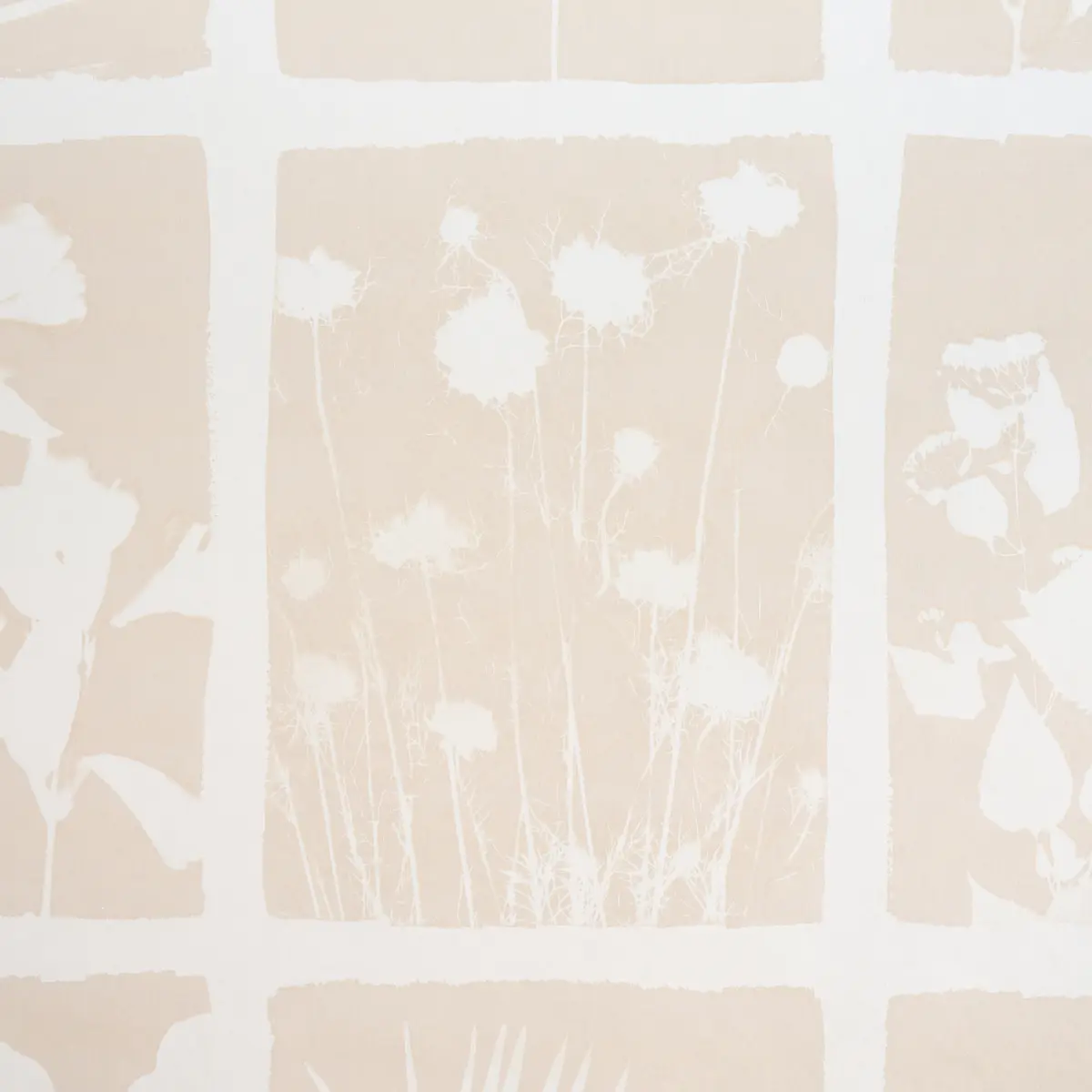 CYANOTYPE PANEL_ NATURAL
