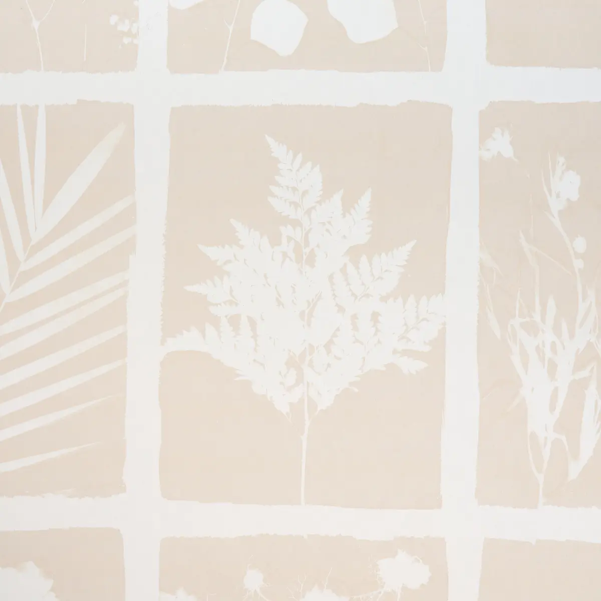 CYANOTYPE PANEL_ NATURAL