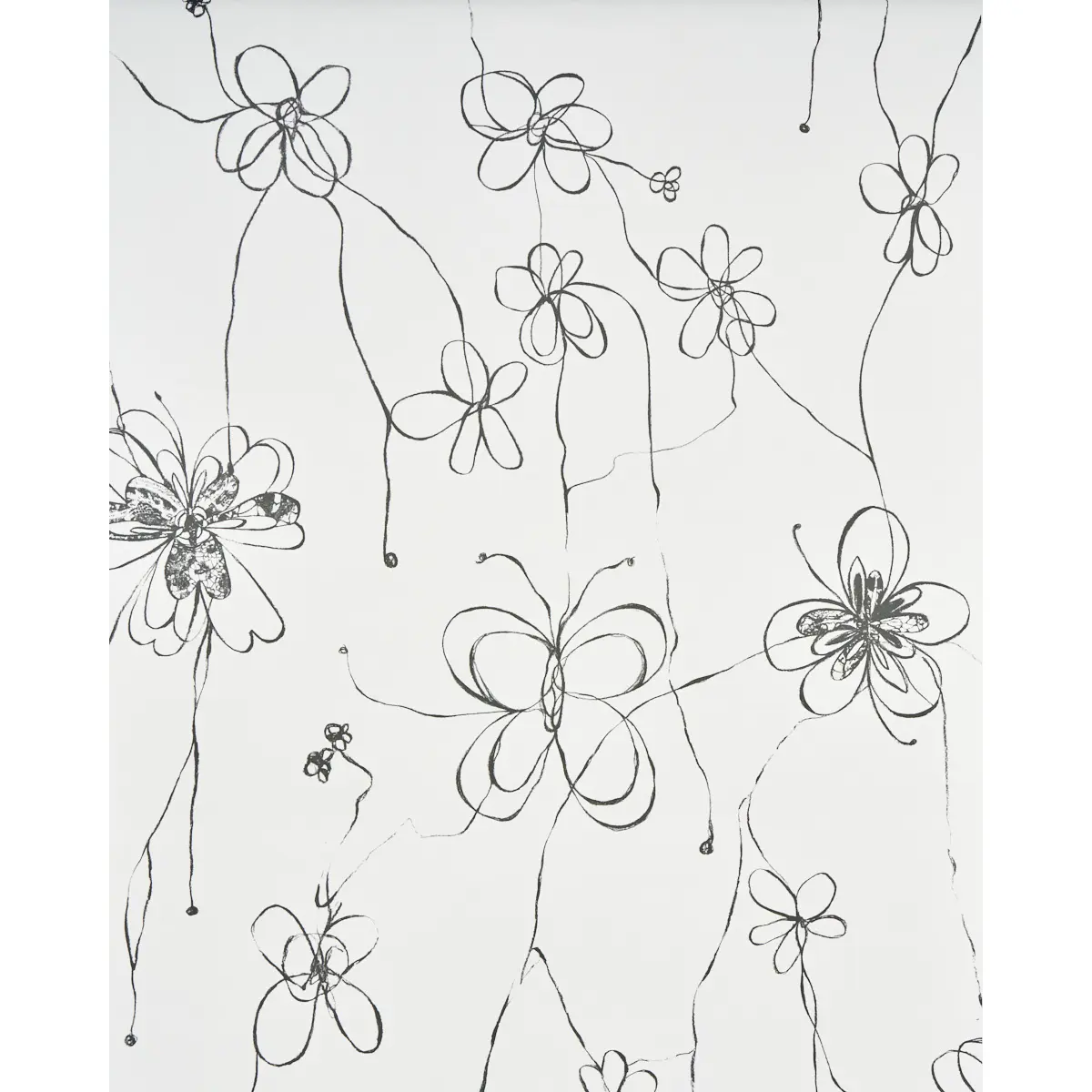 COME BACK AS A FLOWER_ SOFT BLACK