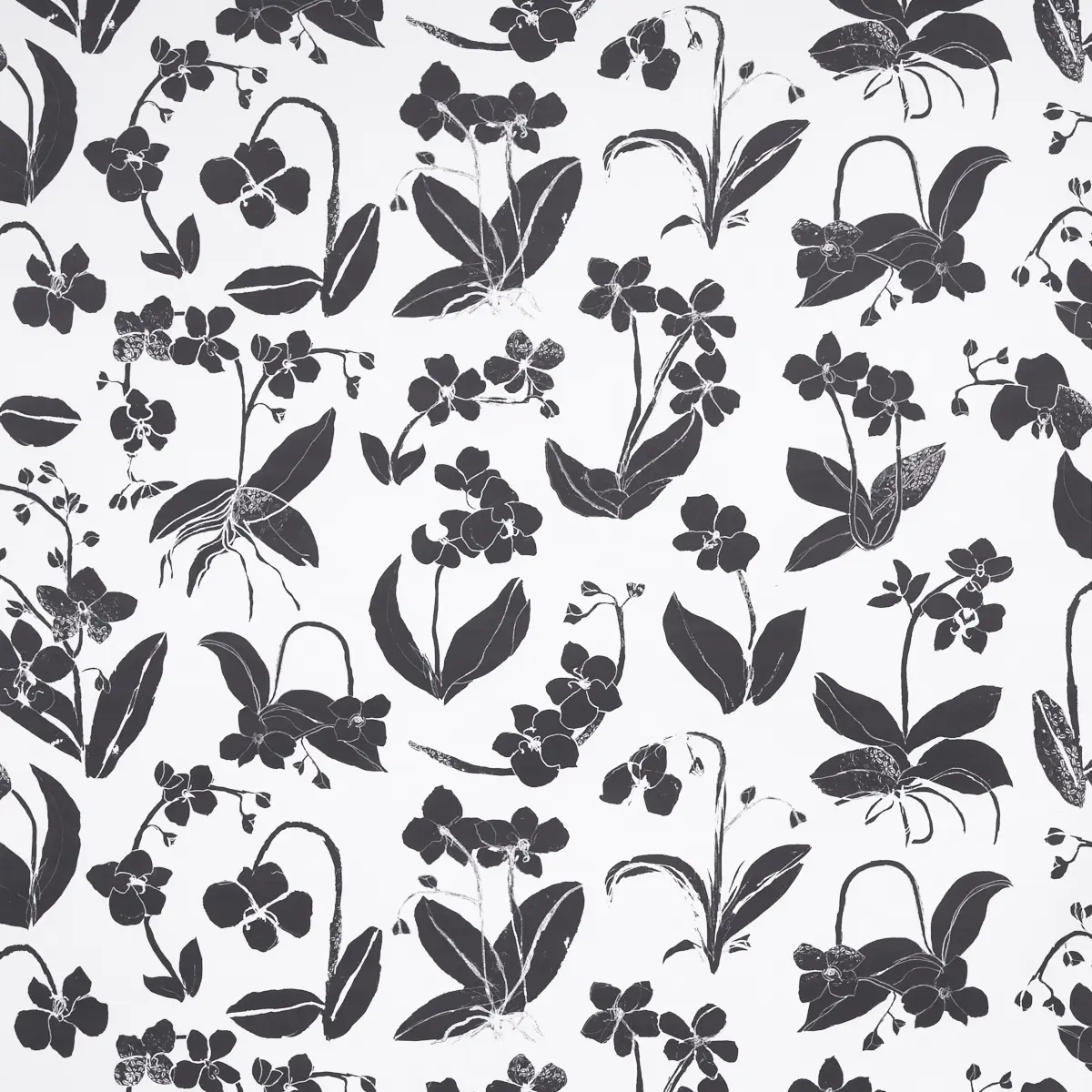 ORCHIDS HAVE DREAMS_ SOFT BLACK