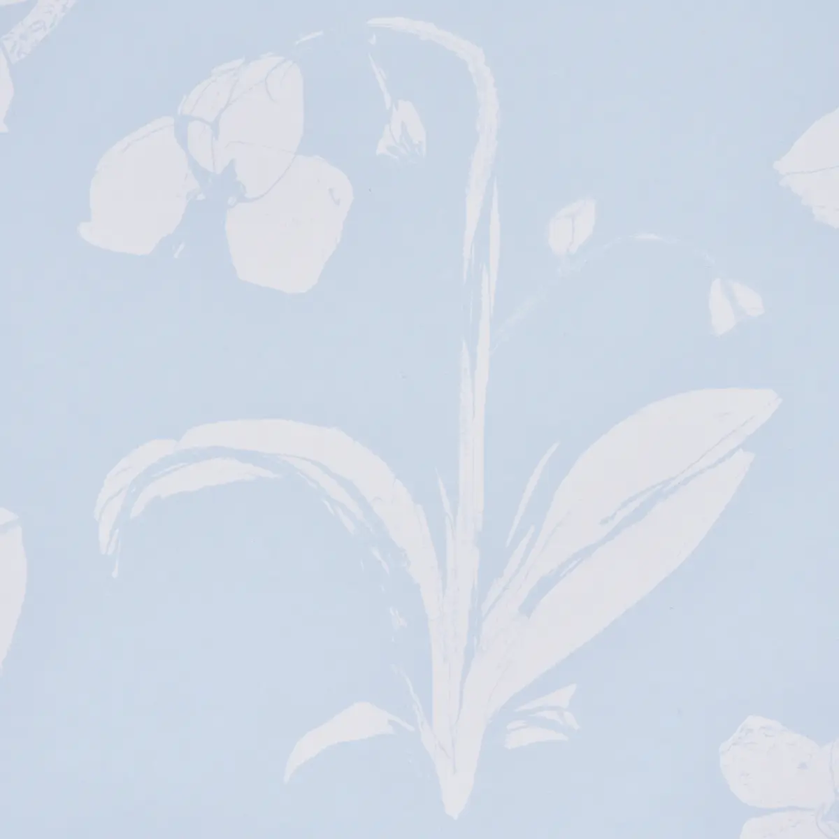 ORCHIDS HAVE DREAMS_ SKY