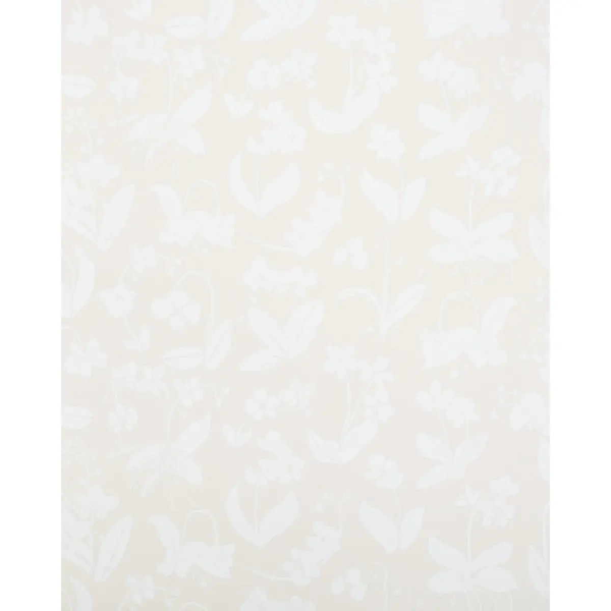 ORCHIDS HAVE DREAMS_ LIGHT NEUTRAL