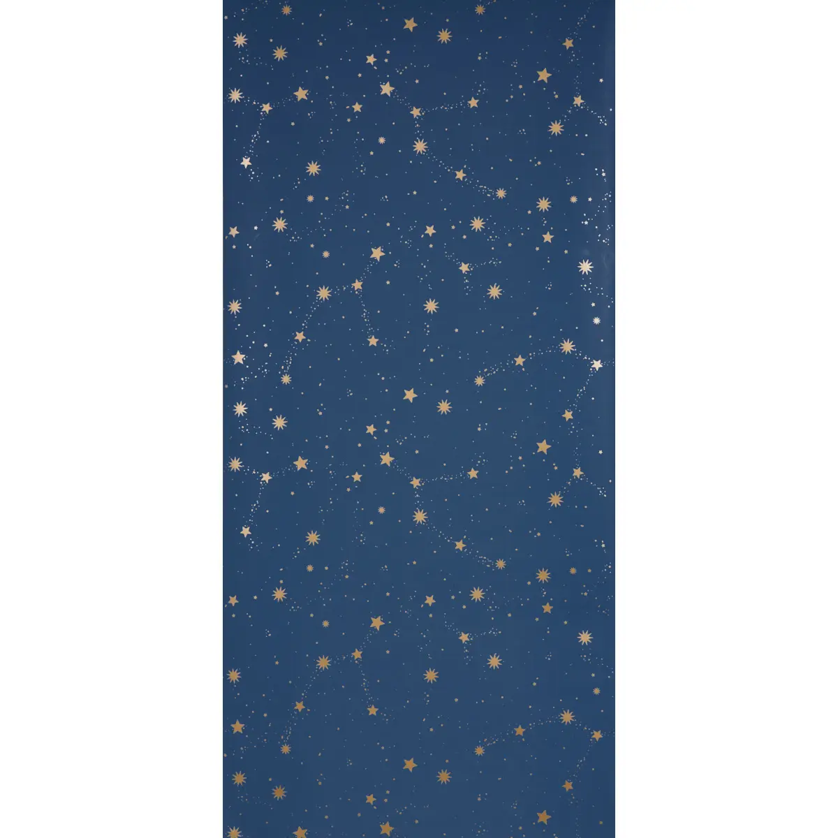SCATTERED STARS_ NIGHT