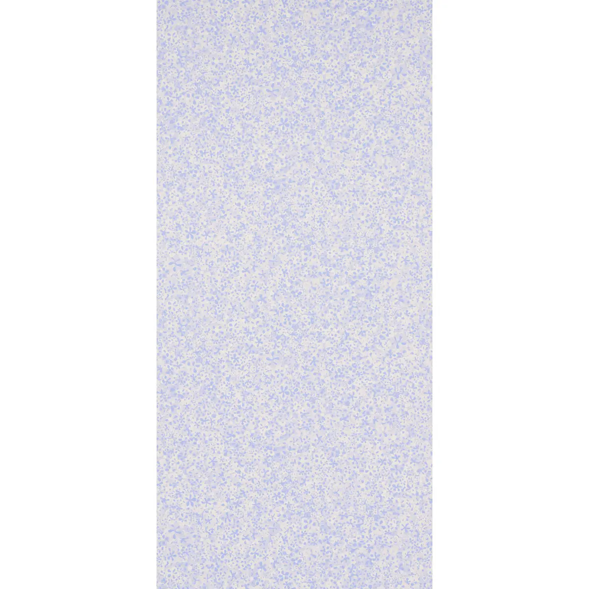 SUPERBLOOM_ CORNFLOWER