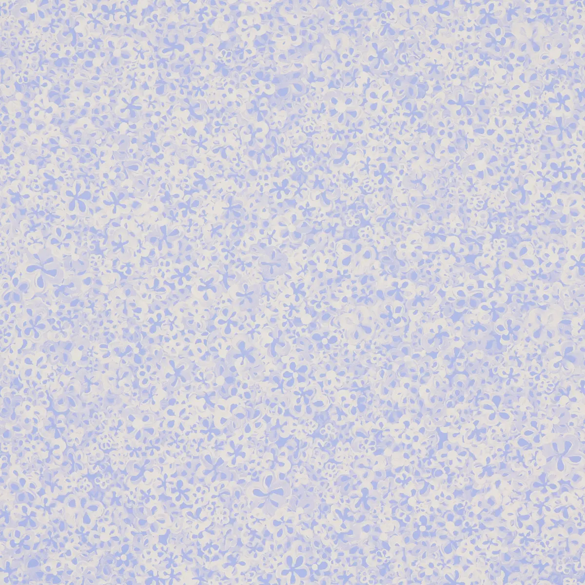 SUPERBLOOM_ CORNFLOWER