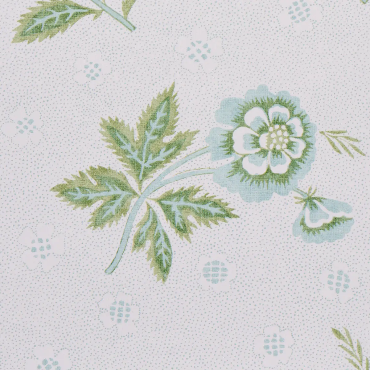 COLLINE_ LEAF & AQUA