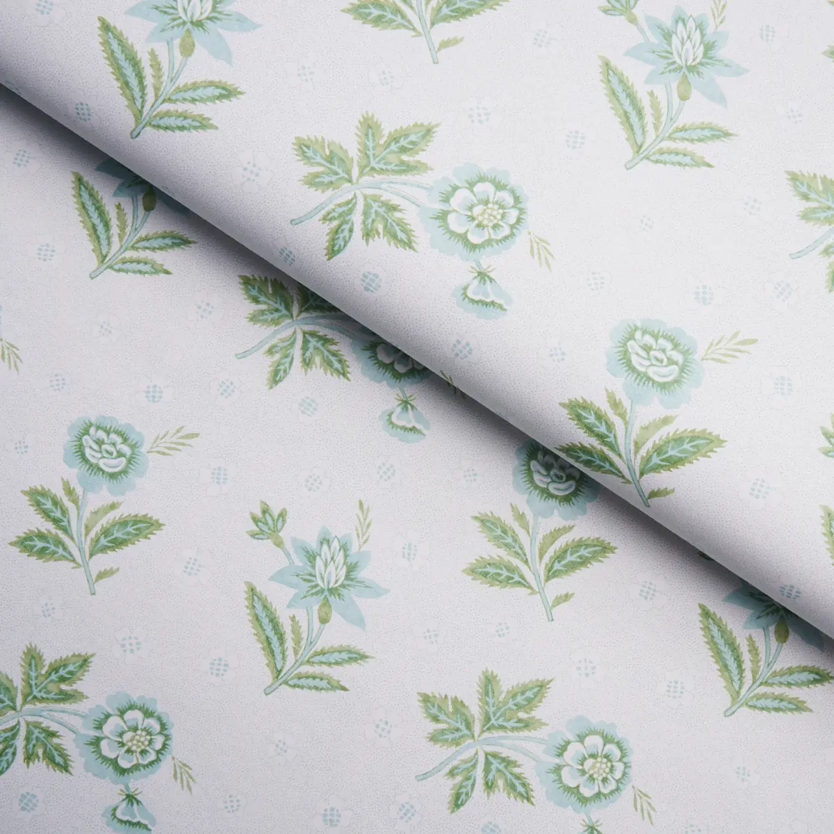 COLLINE_ LEAF & AQUA