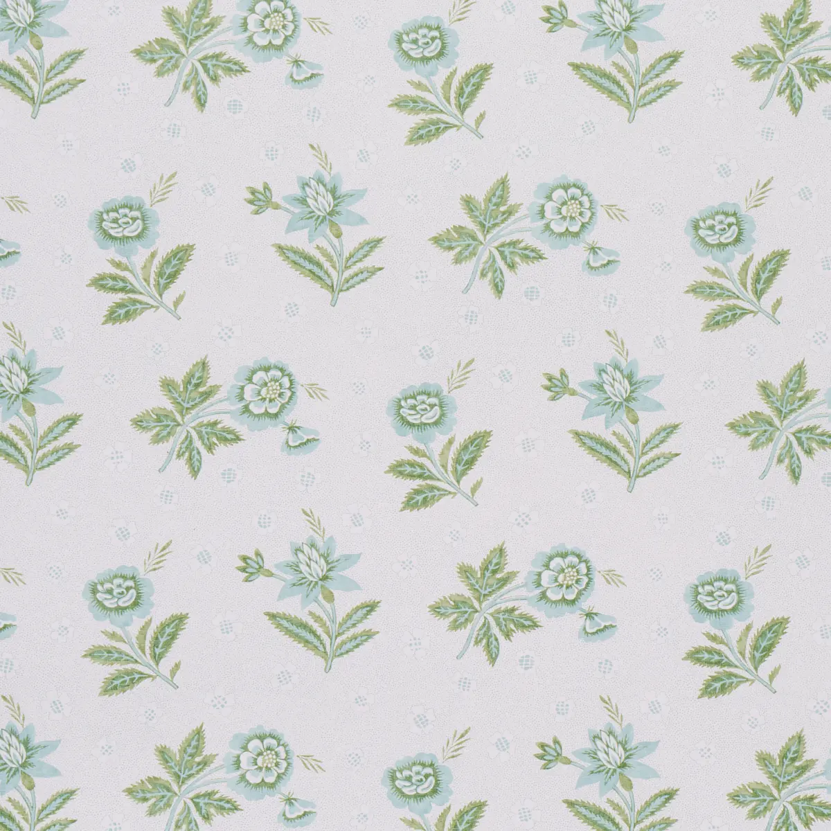 COLLINE_ LEAF & AQUA