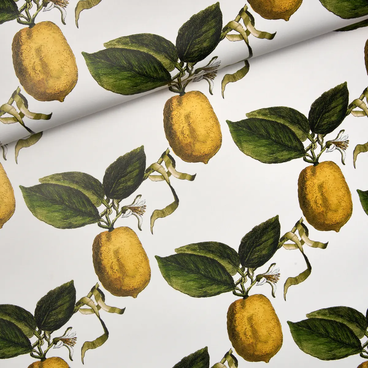 LE CITRON_ IVORY