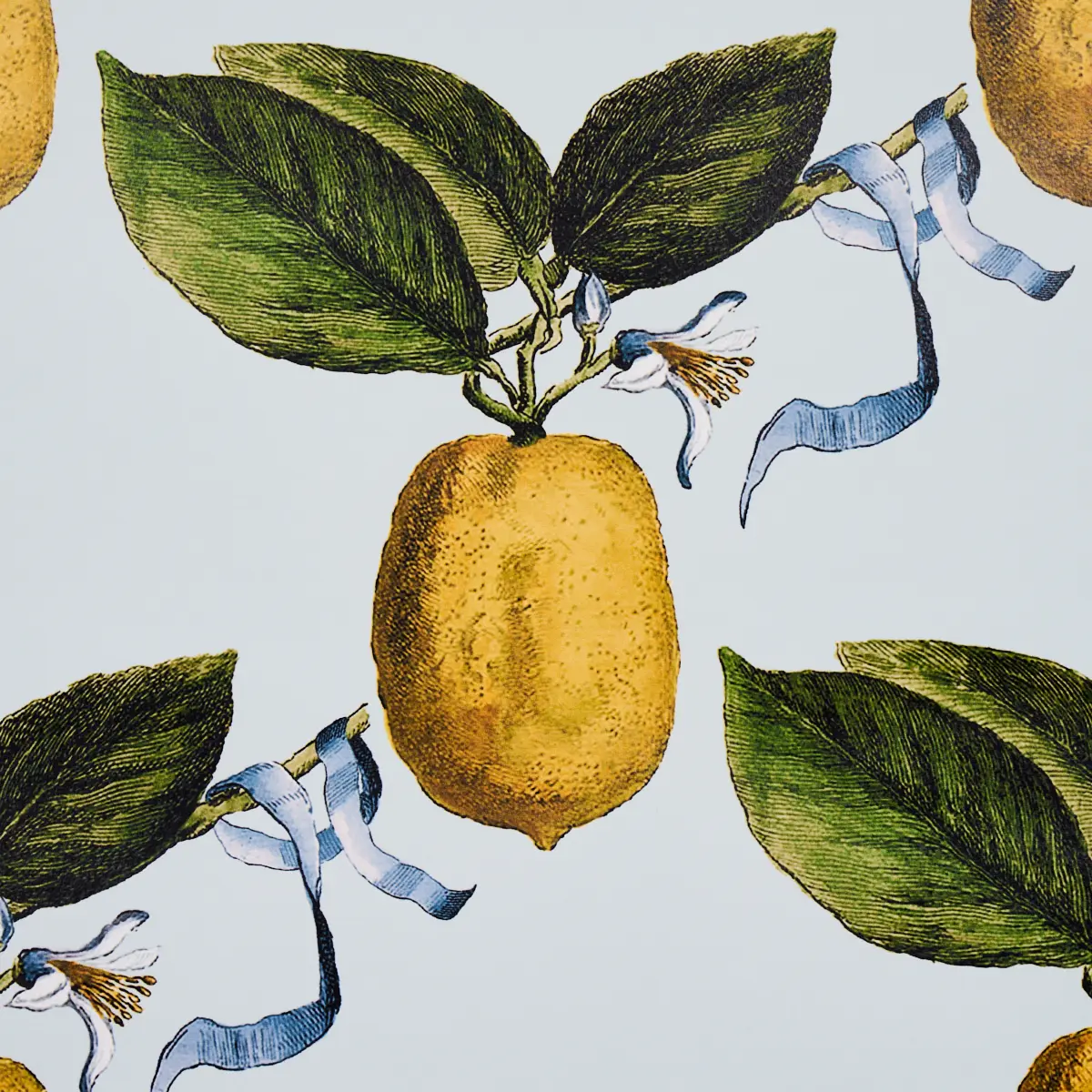 LE CITRON_ SKY